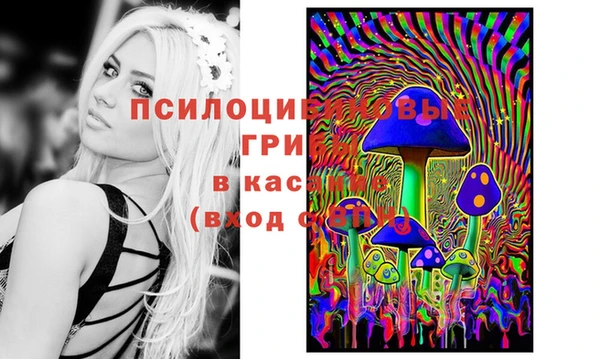 спайс Алексин